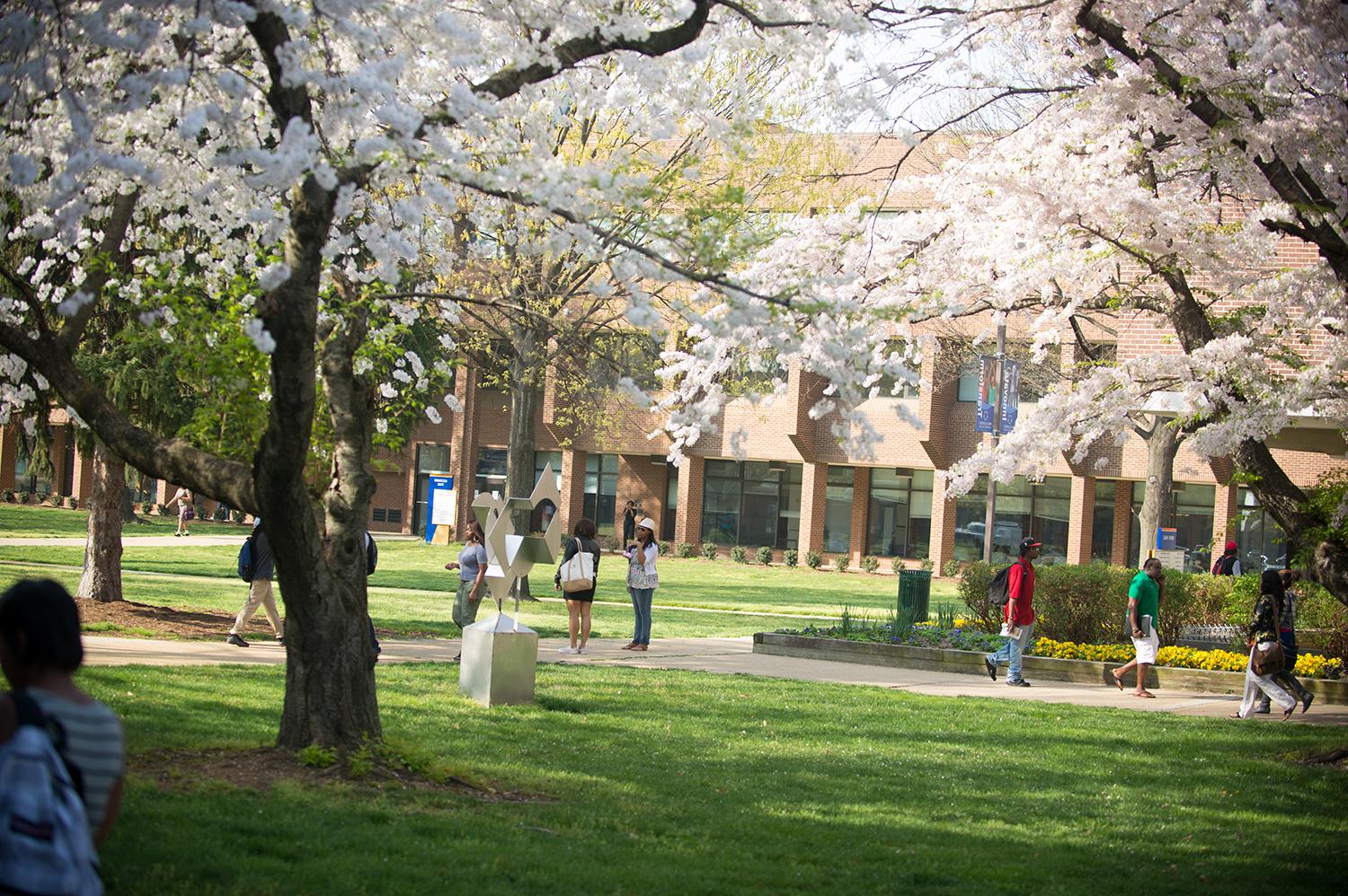 Largo campus in the spring